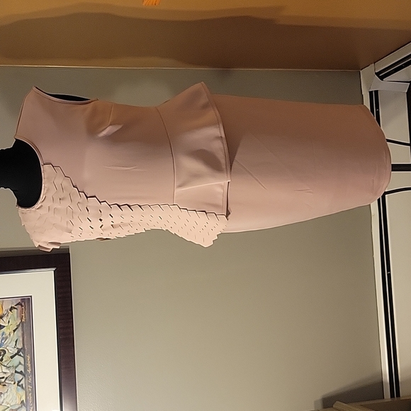 Ashro Dresses & Skirts - Ashro Rose Dress